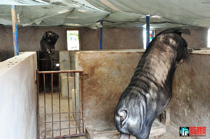 nEO_IMG_��Ƭ 087.jpg