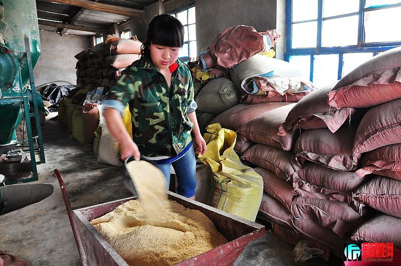 nEO_IMG_��Ƭ 040.jpg