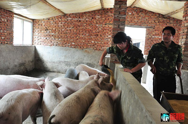 nEO_IMG_��Ƭ 050.jpg