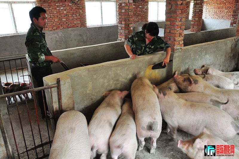 nEO_IMG_��Ƭ 058.jpg