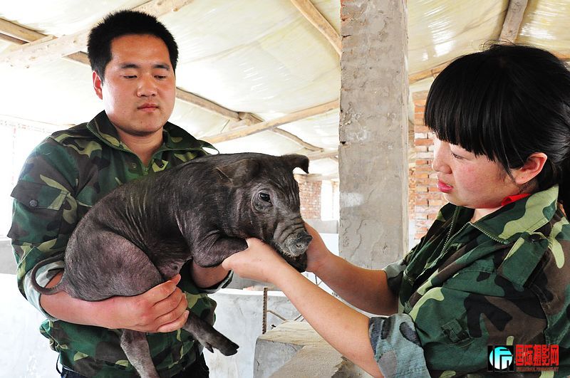 nEO_IMG_��Ƭ 074.jpg