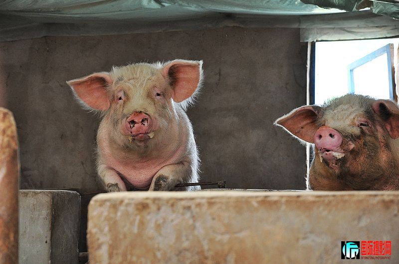 nEO_IMG_��Ƭ 086.jpg