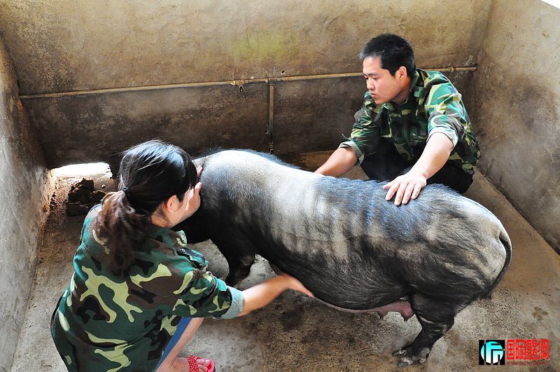 nEO_IMG_��Ƭ 096.jpg