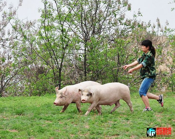 nEO_IMG_��Ƭ 151.jpg