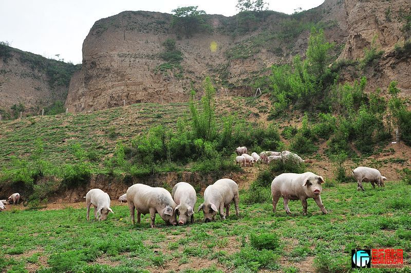 nEO_IMG_��Ƭ 148.jpg