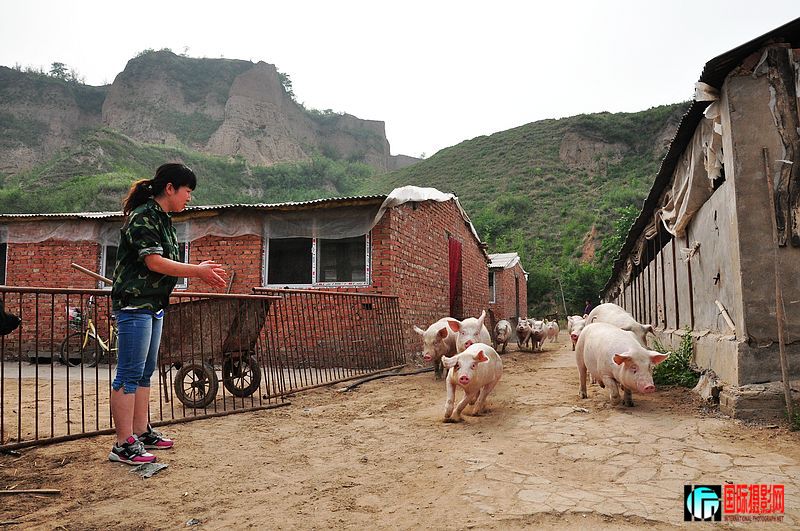 nEO_IMG_��Ƭ 119.jpg