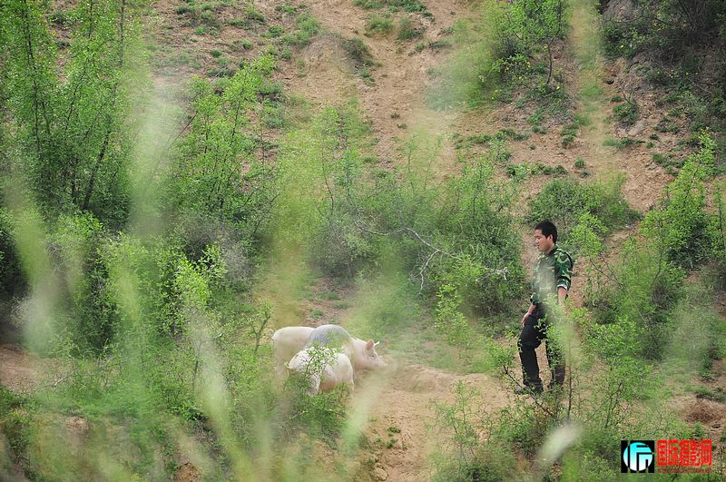 nEO_IMG_��Ƭ 167.jpg