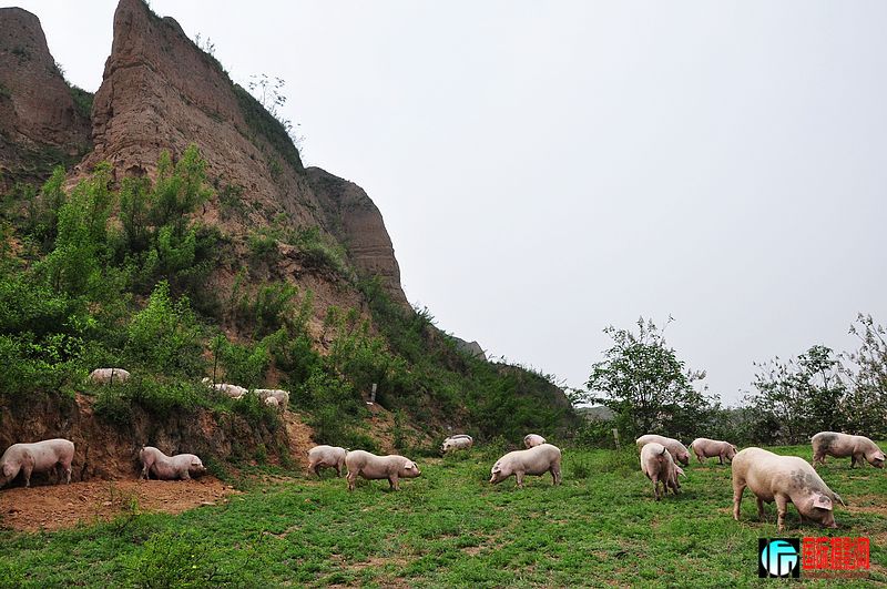 nEO_IMG_��Ƭ 160.jpg