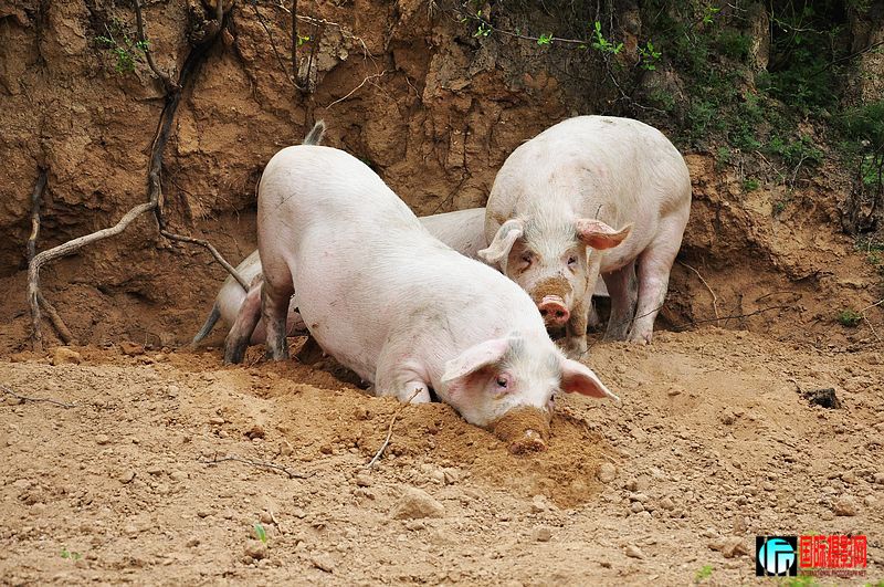 nEO_IMG_��Ƭ 150.jpg