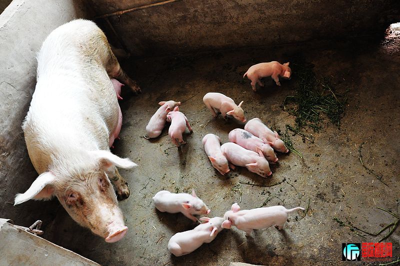 nEO_IMG_��Ƭ 111.jpg