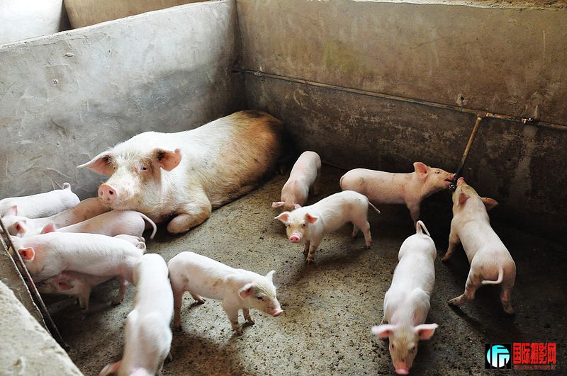 nEO_IMG_��Ƭ 091.jpg