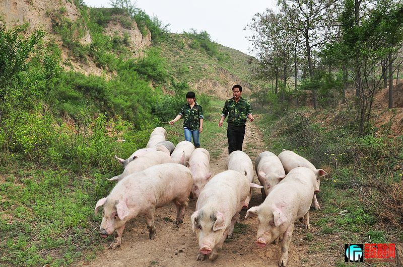 nEO_IMG_��Ƭ 188.jpg