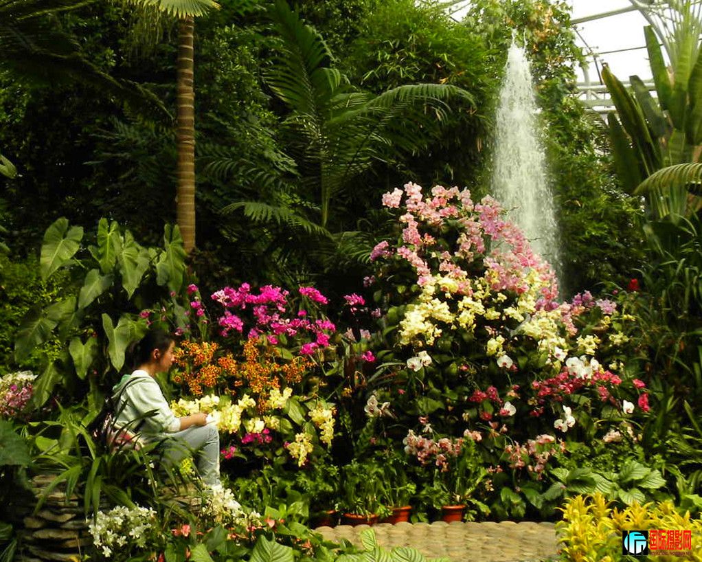 DSCN6390_���� (2).jpg