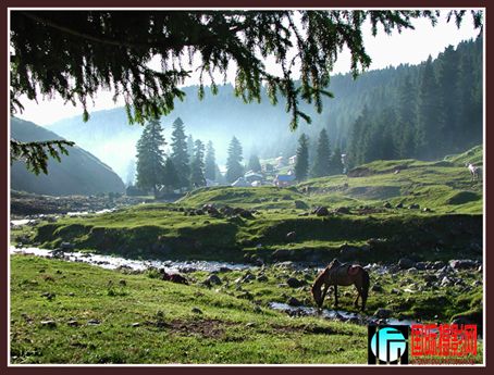 ��������-115