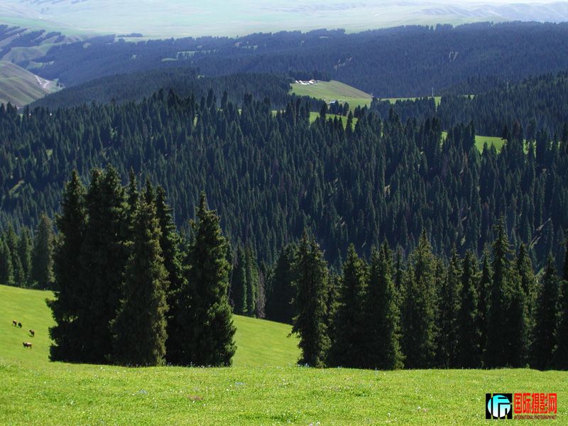 ��³ľ����ɽ����-137