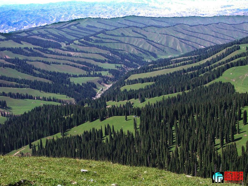 ��³ľ����ɽ����-040