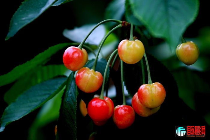 03 ӣ�Һó������� IMG_2004����.jpg