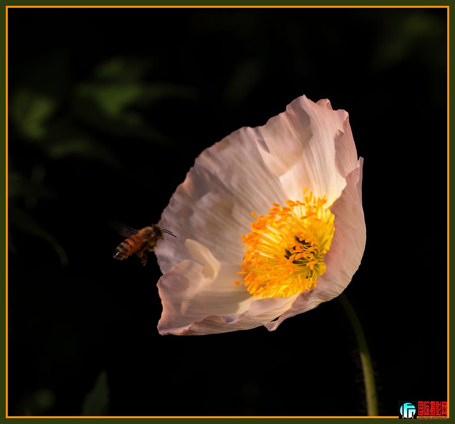 ����С��-92