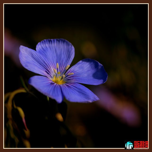 ����С��-93