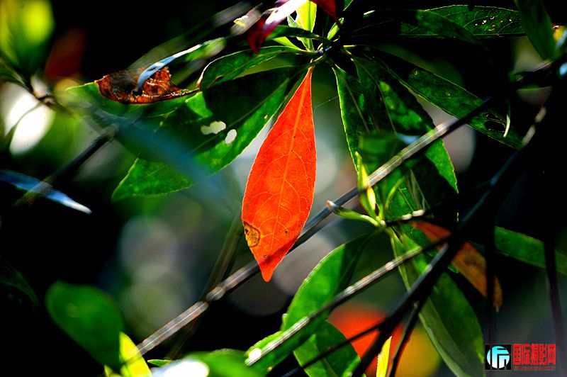 ��Ƭ 146_����.jpg