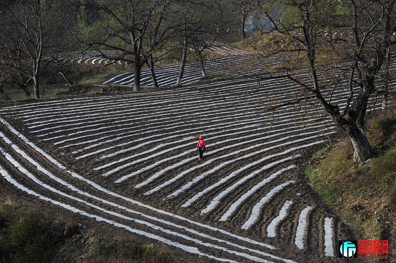 ��Ƭ 591_����.jpg