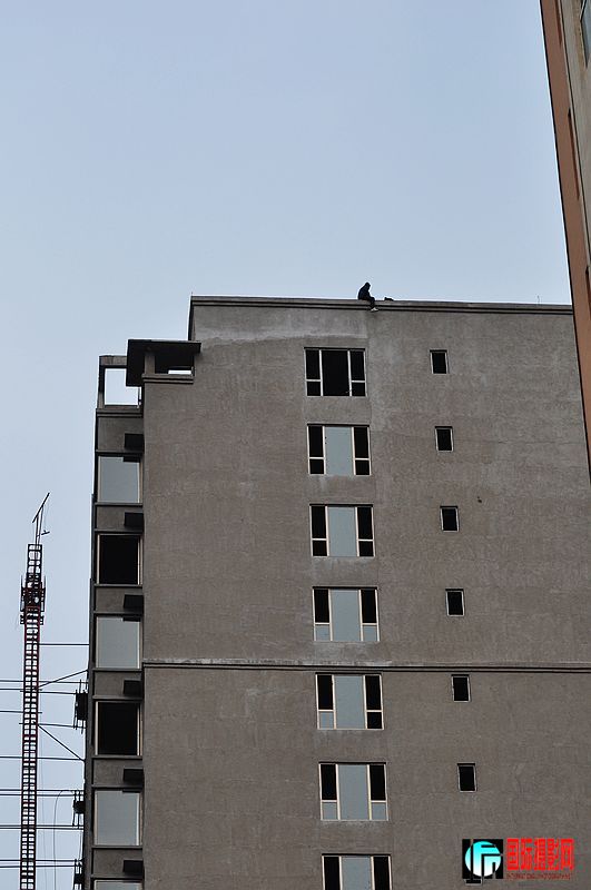 nEO_IMG_��Ƭ 091.jpg