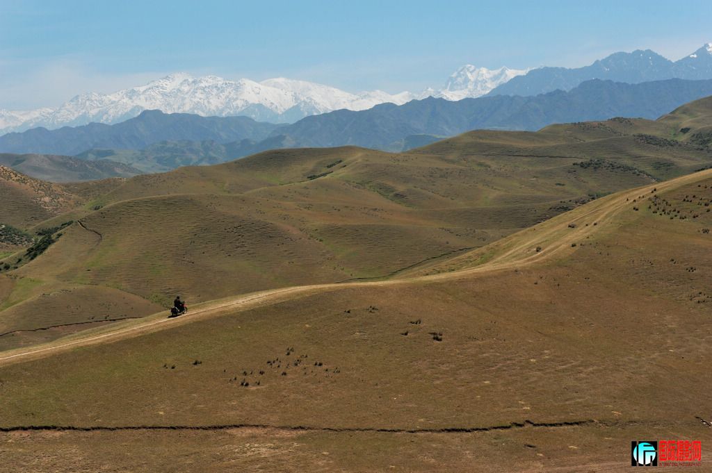 ���� DSC_2593.JPG