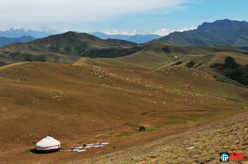 ���� DSC_2652.JPG