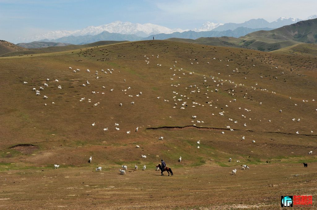 ���� DSC_2606.JPG