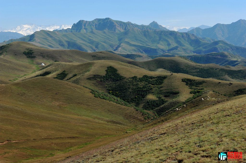 ���� DSC_2662.JPG