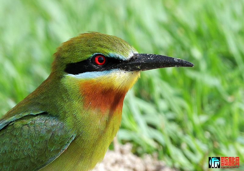 ��ͷ�� 1.jpg