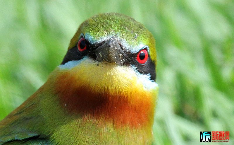 ��ͷ�� 2.jpg