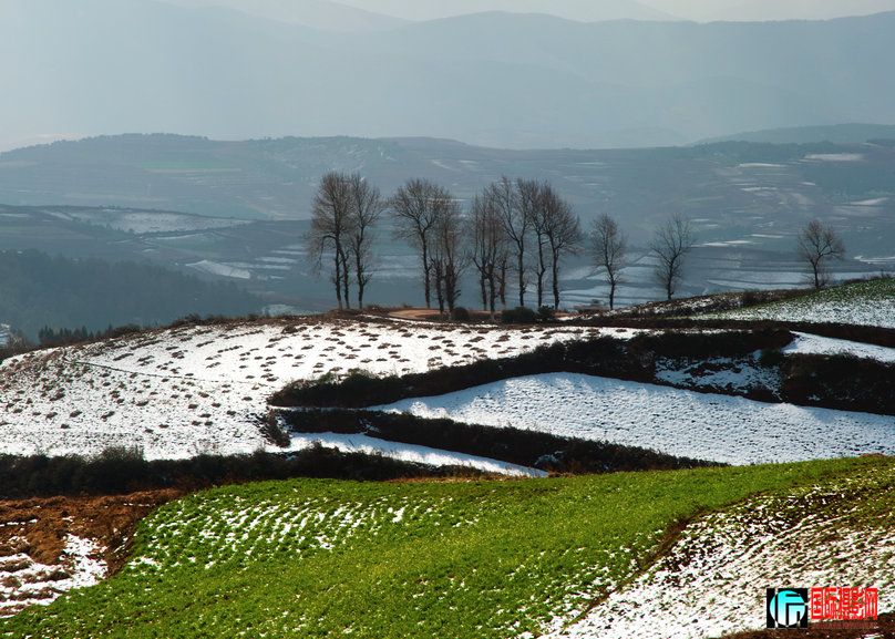 ����ѩ��