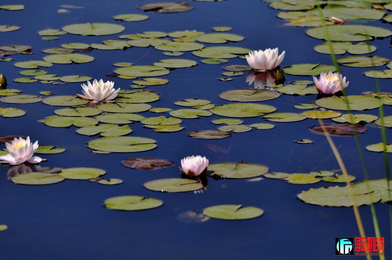 ���� _DSC0037.JPG