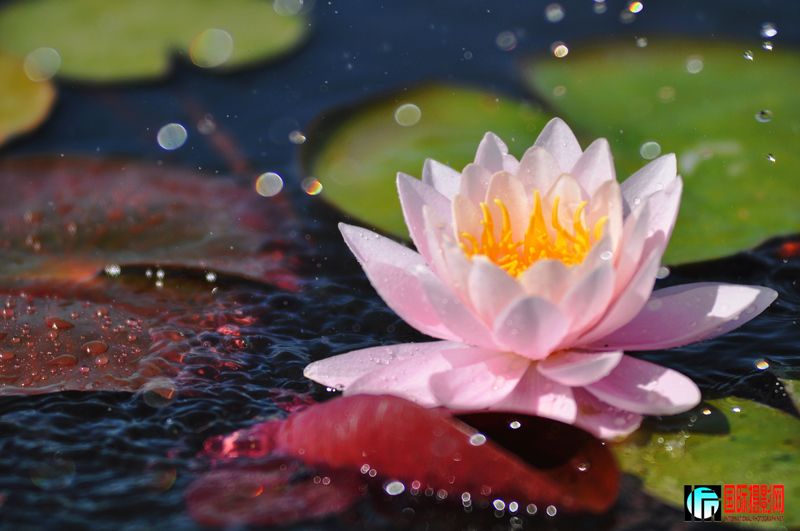 ���� _DSC0029.JPG