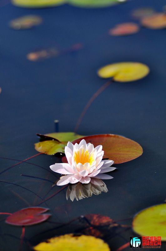 ���� _DSC0026.JPG