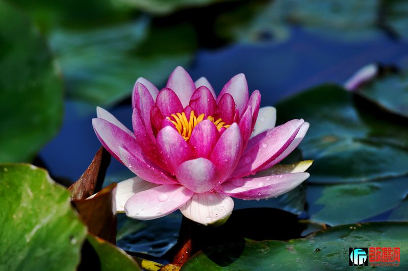 ���� _DSC0003.JPG