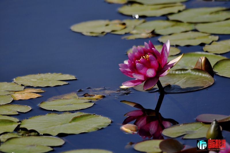 ���� _DSC0048.JPG