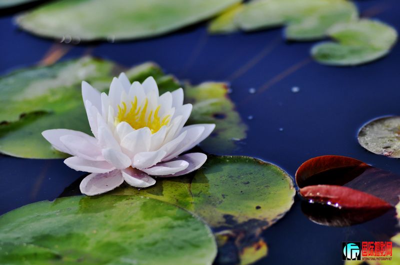 ���� _DSC0034.JPG