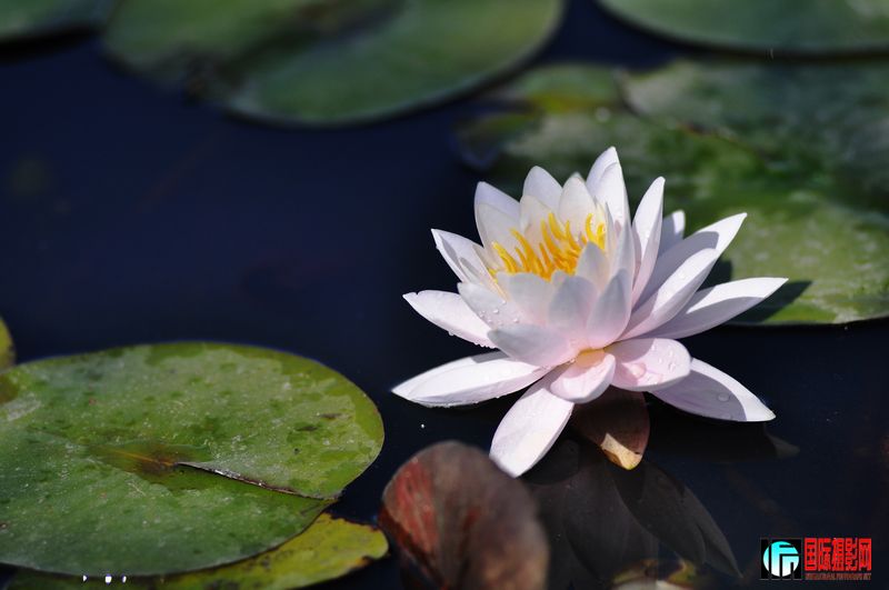 ���� _DSC0023.JPG