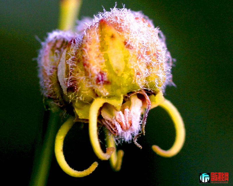 �������� (3).JPG