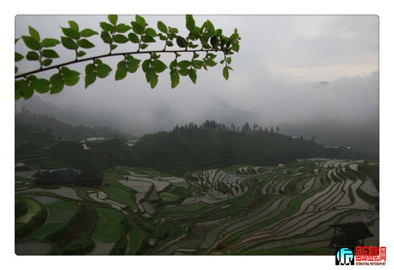 2012�Ӱ����� 171800_����.jpg