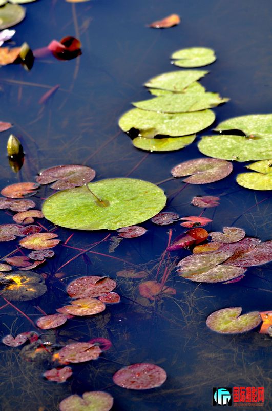 ���� _DSC0051.JPG