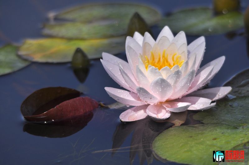 ���� _DSC0009.JPG