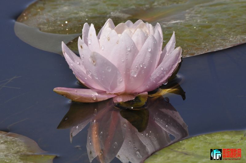 ���� _DSC0068.JPG