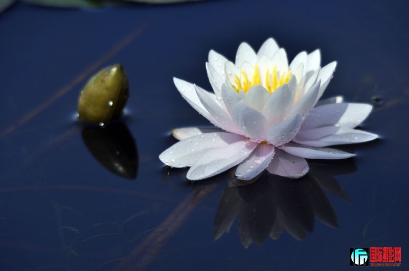 ���� _DSC0008.JPG