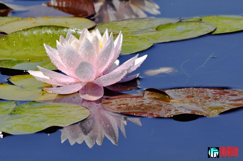 ���� _DSC0067.JPG