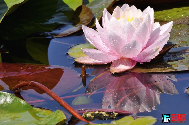 ���� _DSC0034.JPG