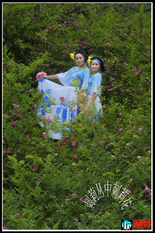 �������� 333.jpg