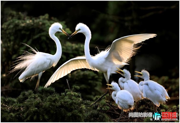 ����ͥ�� ��Ӱ���¿���  ����Ȼ����������.jpg